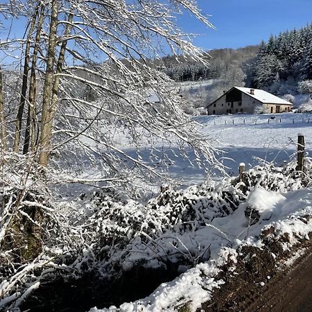 فيلا La Hutte تيندون المظهر الخارجي الصورة