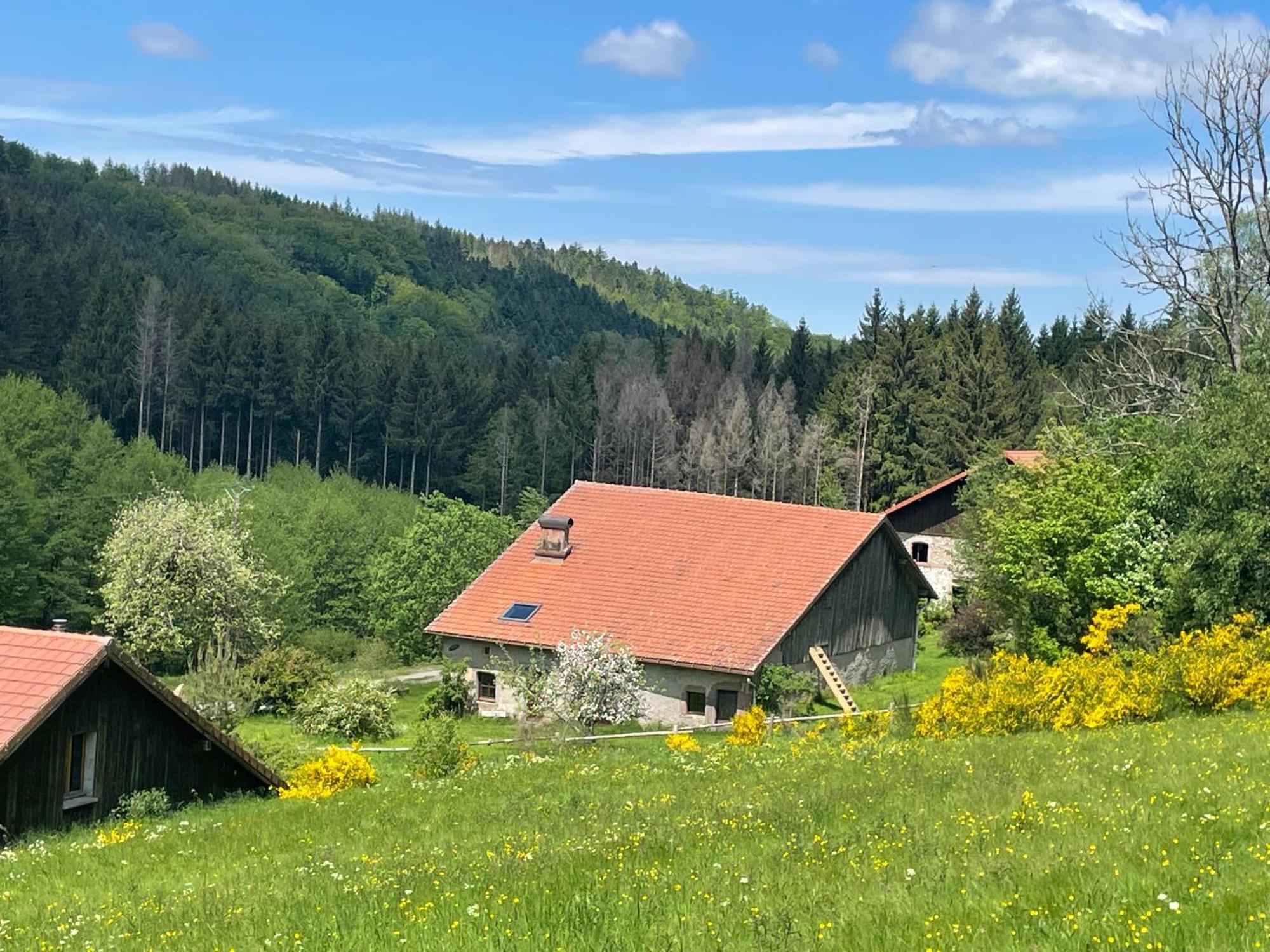 فيلا La Hutte تيندون المظهر الخارجي الصورة