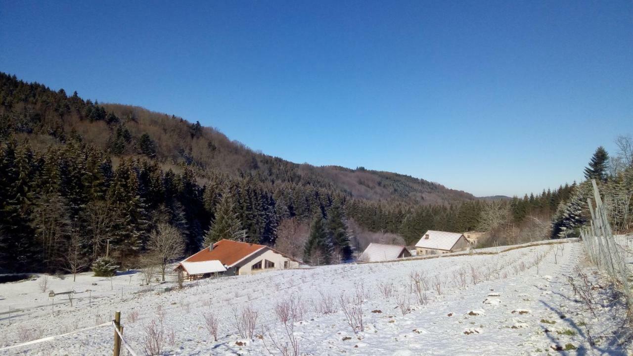 فيلا La Hutte تيندون المظهر الخارجي الصورة