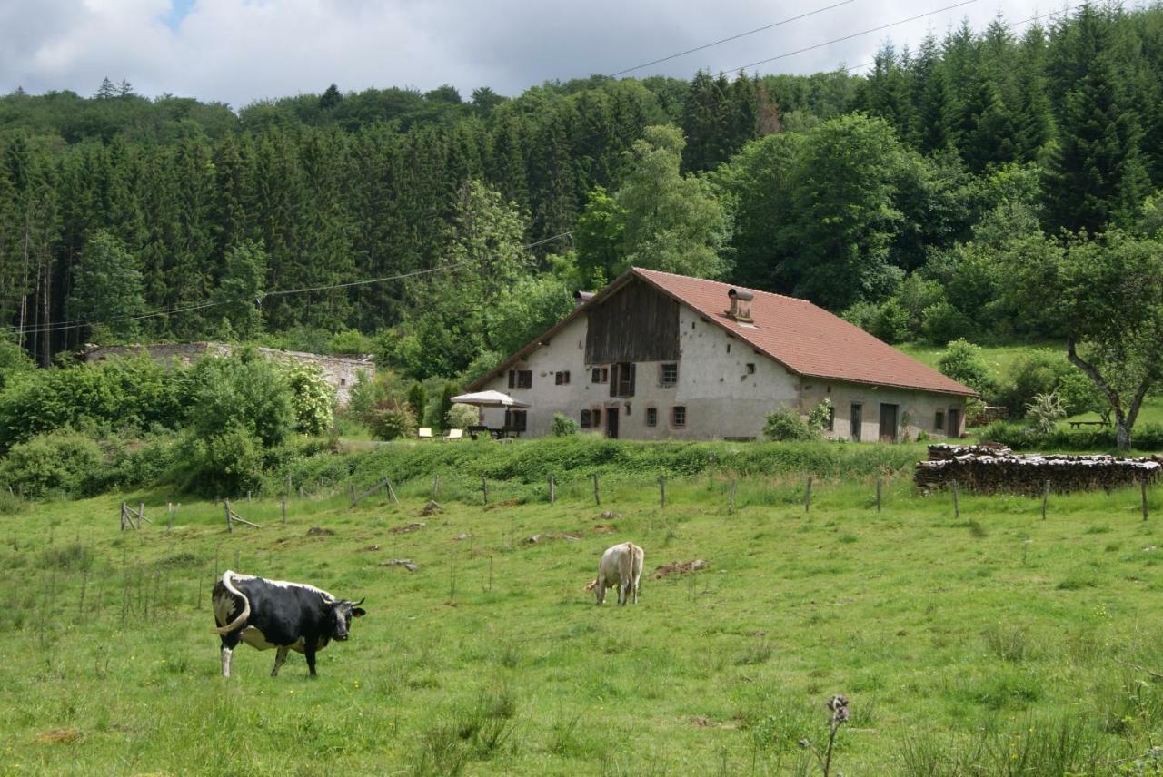 فيلا La Hutte تيندون المظهر الخارجي الصورة